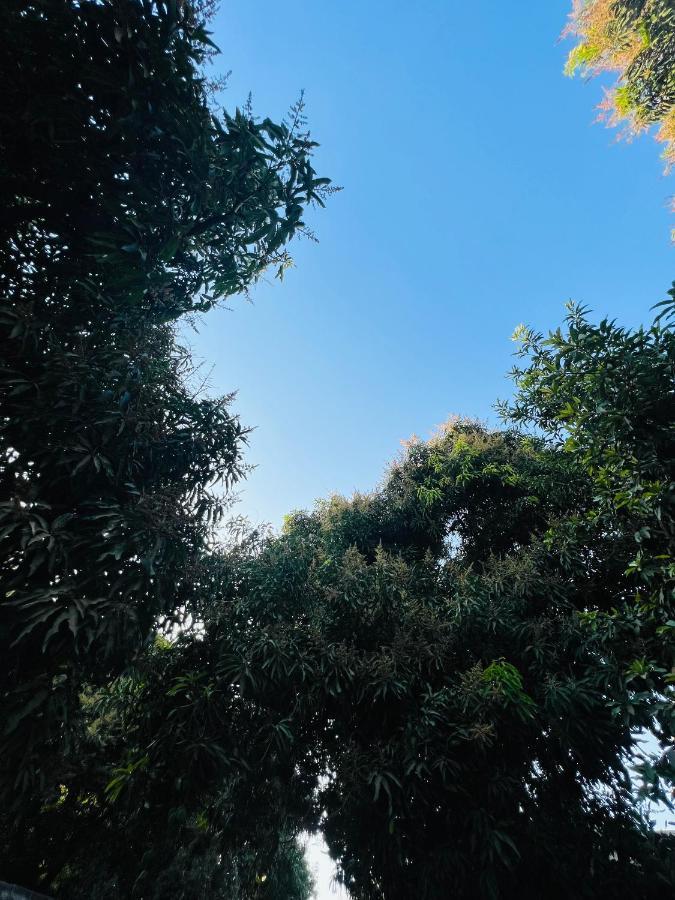 Hostal Casa San Pedro 산타마르타 외부 사진